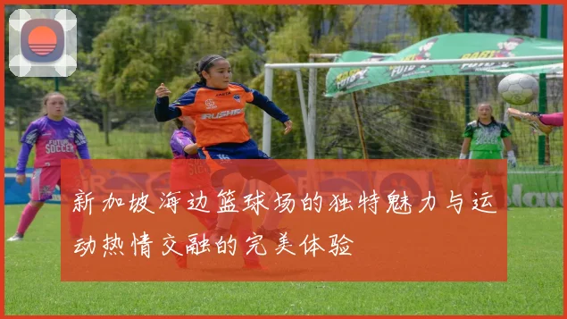 新加坡海边篮球场的独特魅力与运动热情交融的完美体验