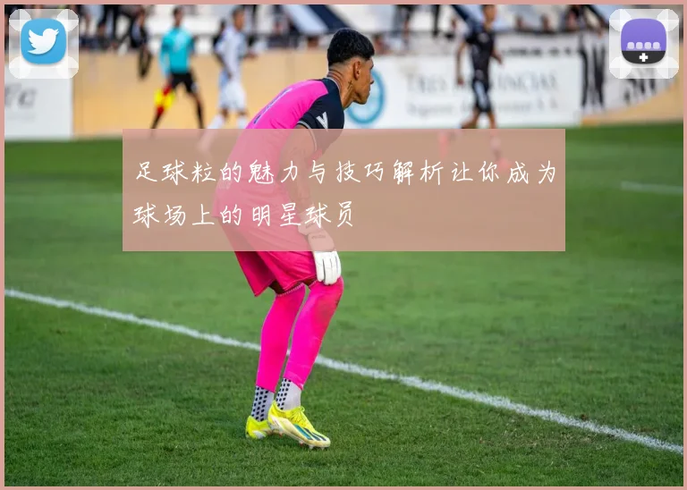 足球粒的魅力与技巧解析让你成为球场上的明星球员